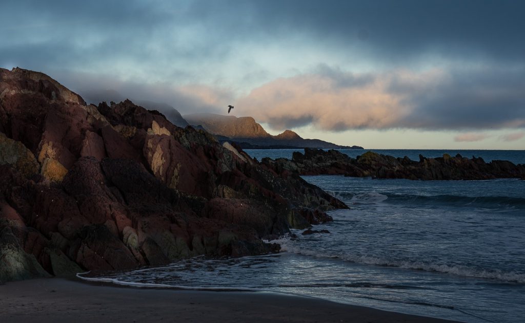 Exploring the Barents Sea – on Vardø’s Doorstep zipwp-image-1533.jpg