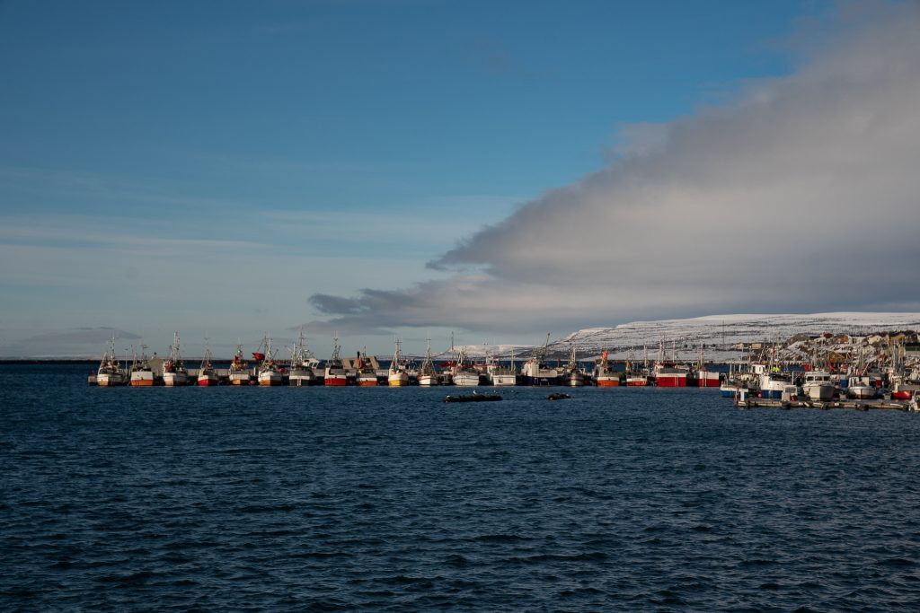 Exploring the Barents Sea – on Vardø’s Doorstep hav havn båter brygge sol himmel åpent