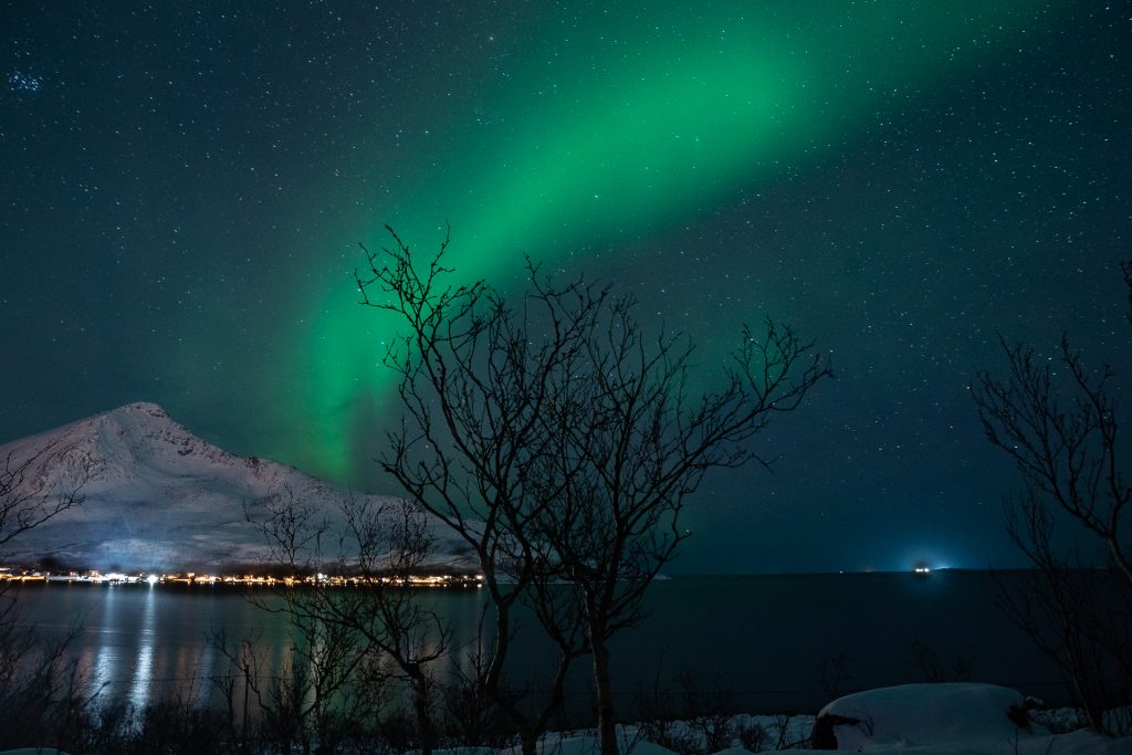 nordlys tre by og fjell stjerner