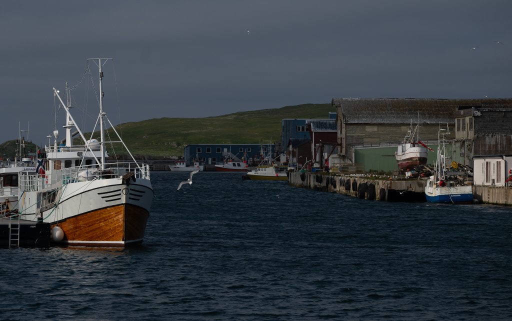 tunfisk ii stor båt hav havn tunfisk ii stor båt hav havn