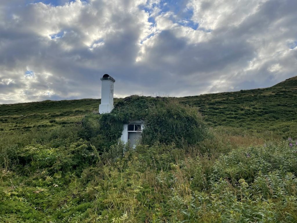 reinøya 