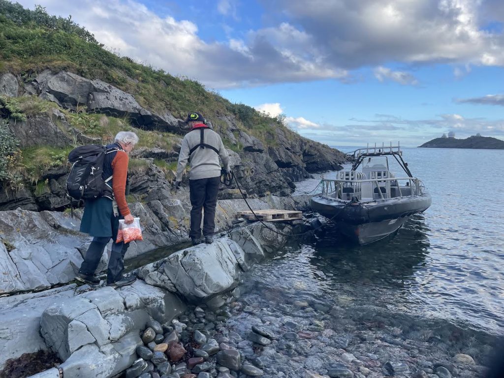 reinøya multer cloudberry