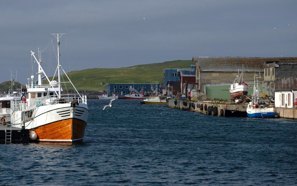 tunfisk ii havn båt
